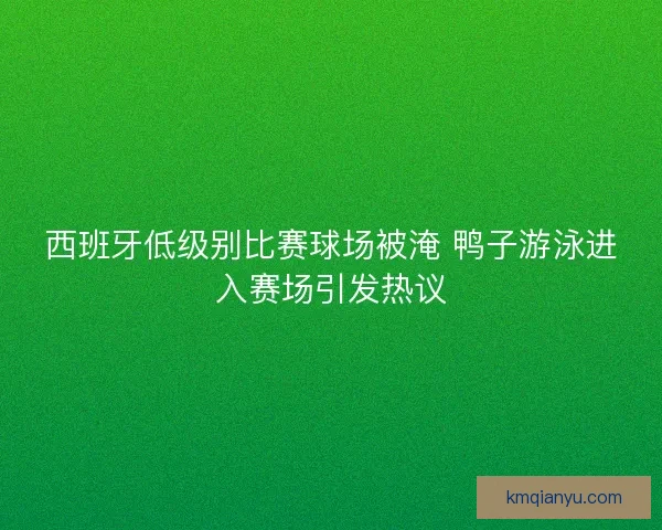 西班牙低级别比赛球场被淹 鸭子游泳进入赛场引发热议